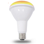 BR30-Bulb